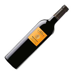 Mas d'Aranyó